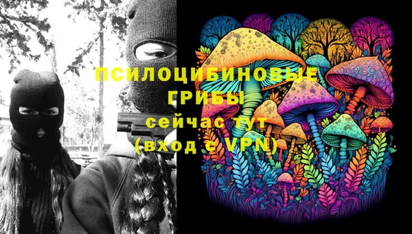 трава Бердск