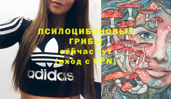 дурь Белоозёрский