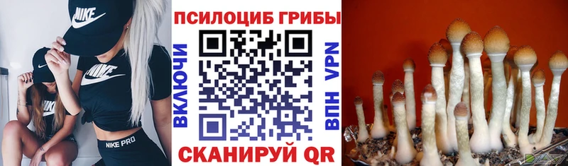 hydra зеркало  даркнет сайт  Волчанск  Псилоцибиновые грибы мухоморы 